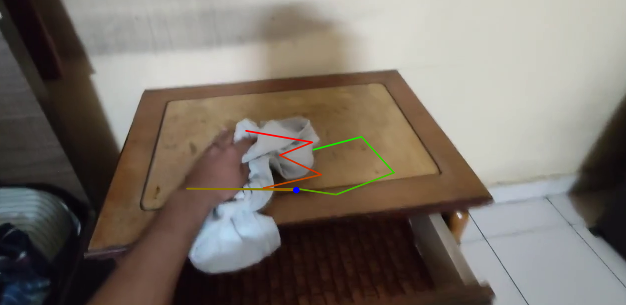 Proxy motion cues overlaid on the HomER sample frame